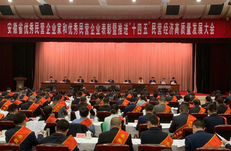 喜訊！元琛科技總經(jīng)理梁燕被授予“安徽省優(yōu)秀民營企業(yè)家”稱號