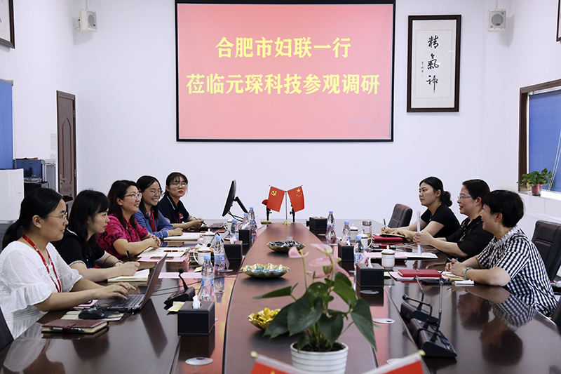 合肥市婦聯(lián)第一調(diào)研組赴元琛科技調(diào)研指導